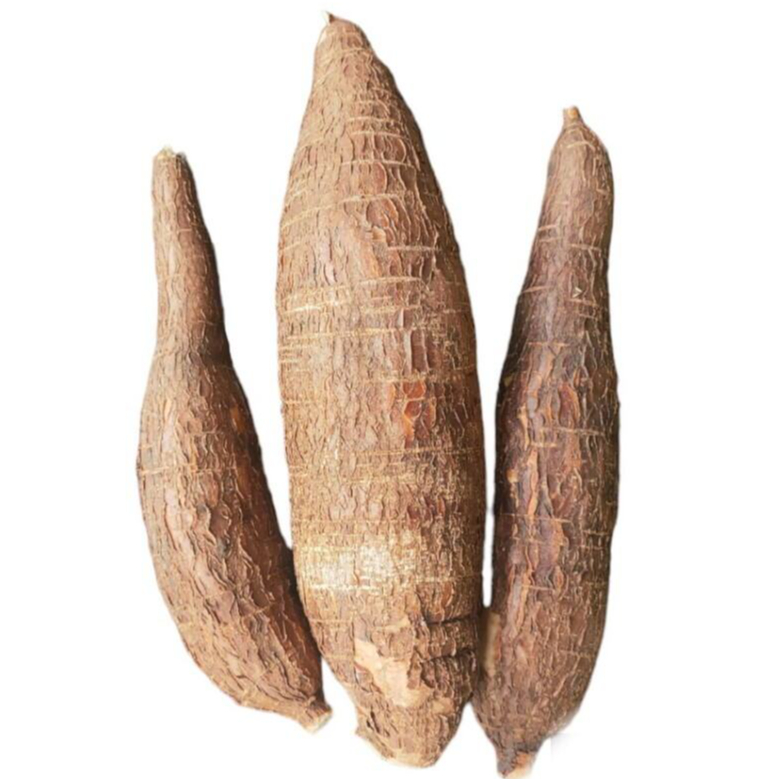 

PROMO Singkong Sapi Kuru Karihkil / Singkong Genderuwo Segar 1 Kg