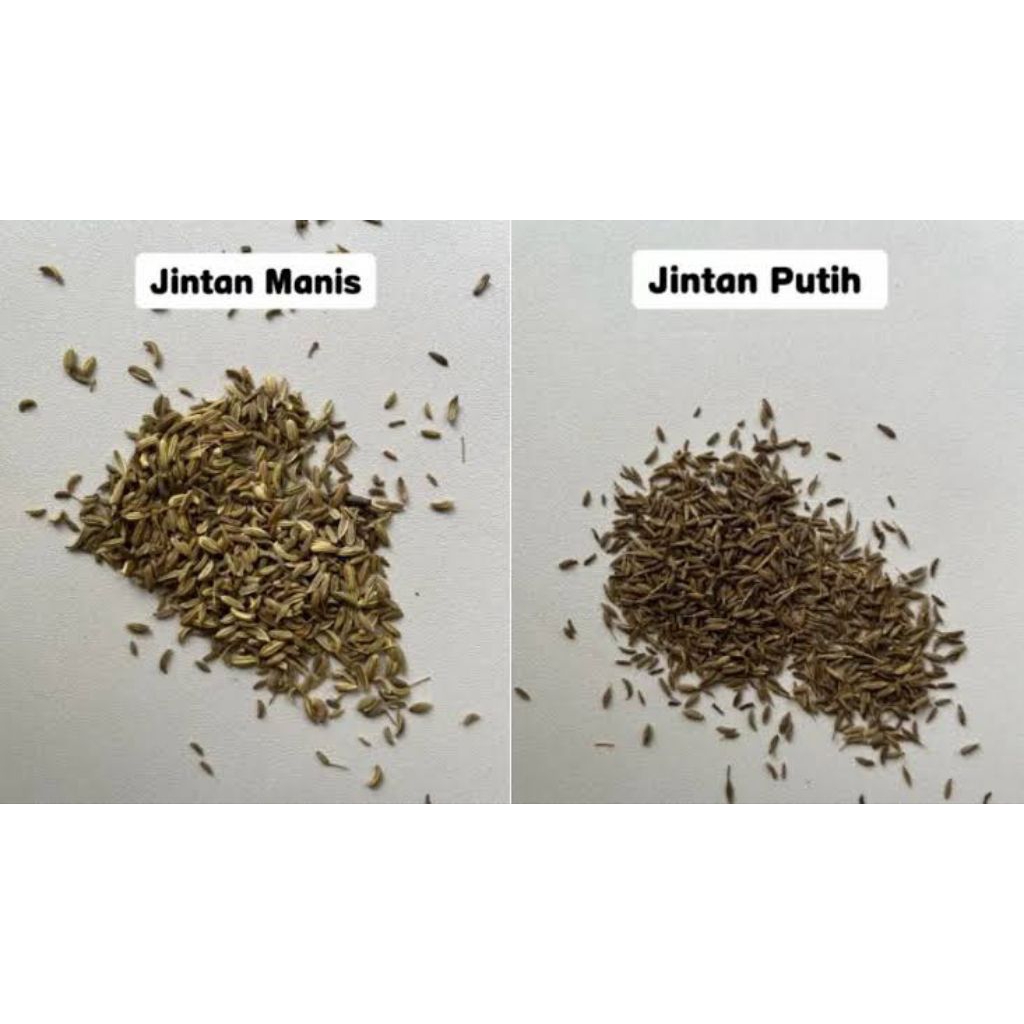 

Jintan (Rempah Kering)