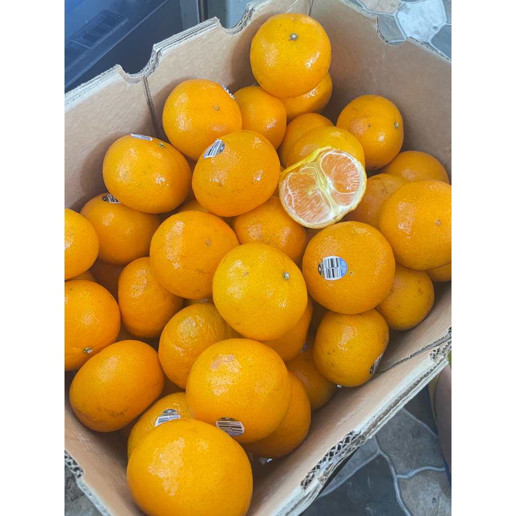 

JERUK MURCOT segar favorite