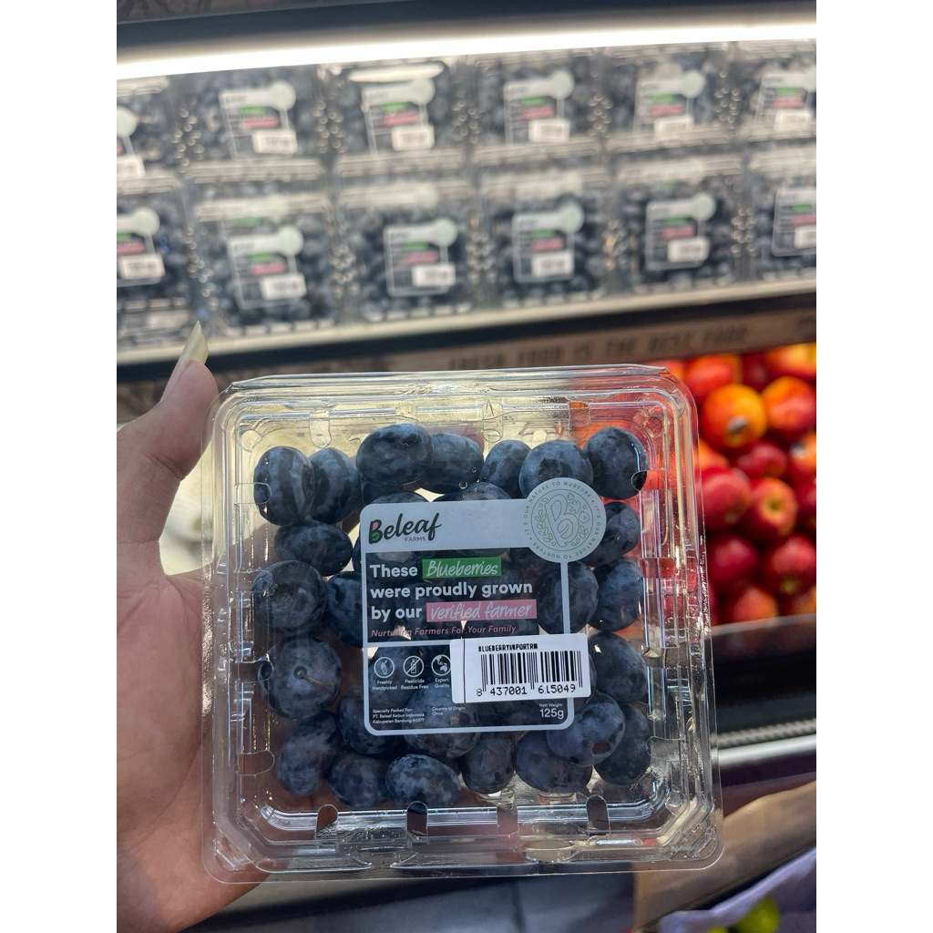 

Blueberry Import Fresh | Blueberry Proudly Grow | Pack