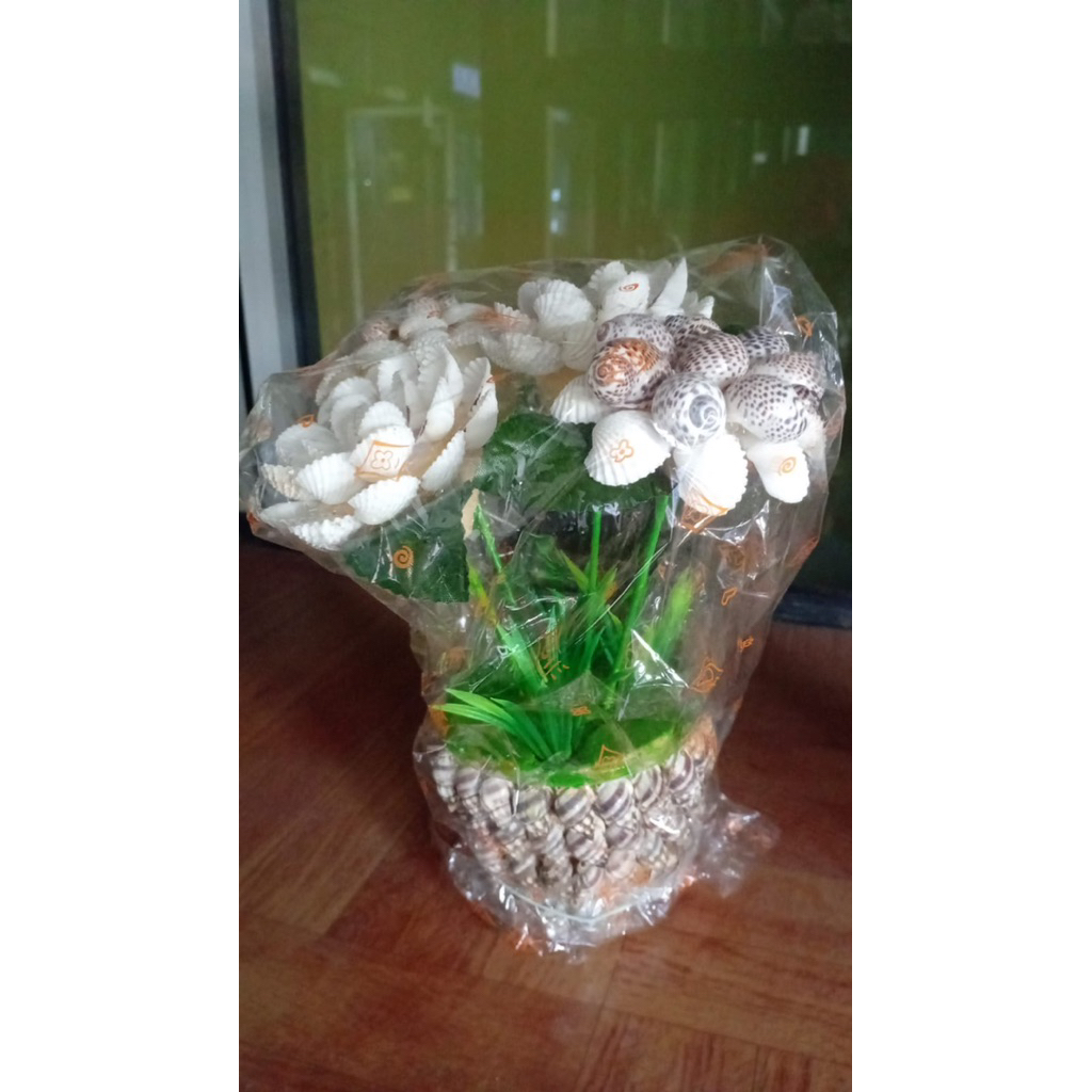Bunga Hias Unik dari Kulit Kerang Asli | Kerajinan Tangan Handmade Dekorasi Rumah