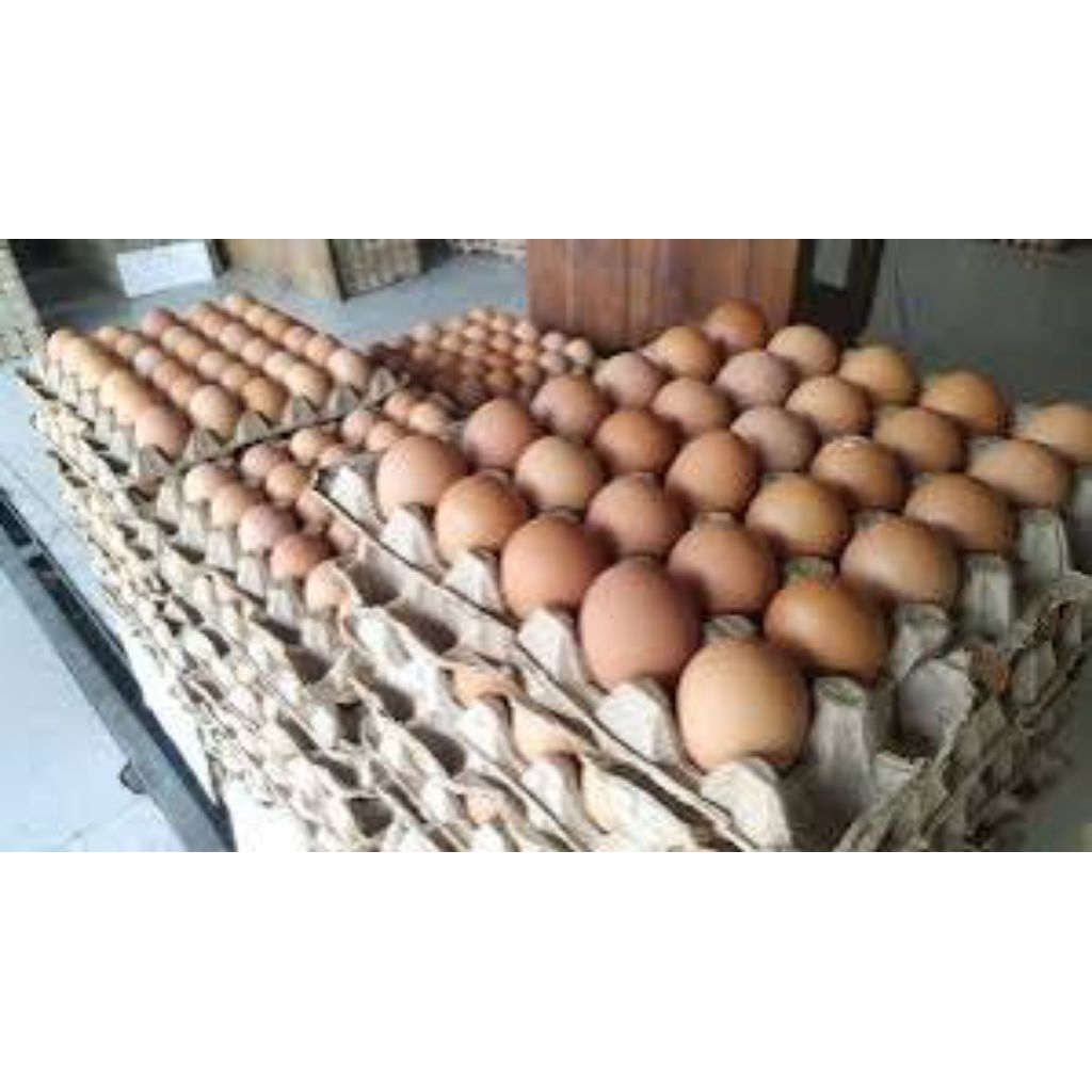 

Telur Ayam Fresh Premium 1kg