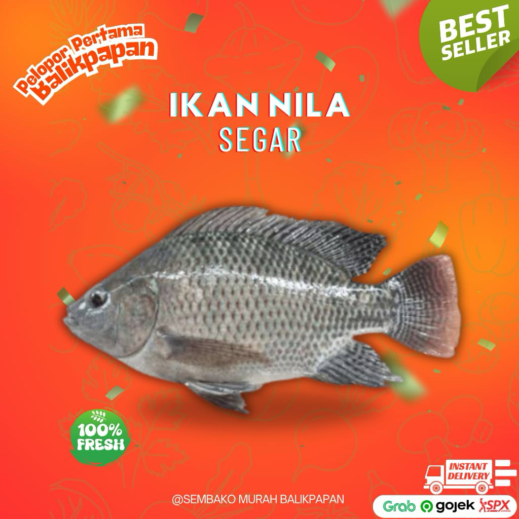 

ikan nila segar hidup 1kg