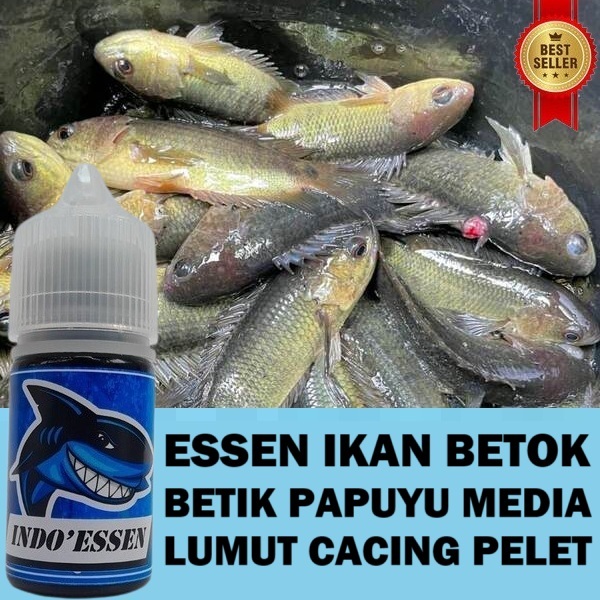 ESSEN IKAN BETOK BETIK PAPUYU MEDIA UMPAN LUMUT CACING PELET ISI 30ML