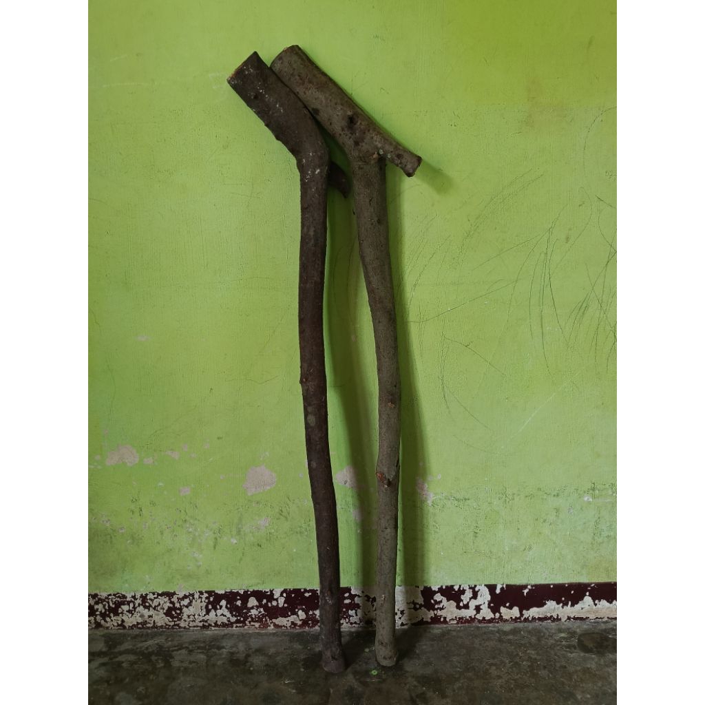 Bahan tongkat, bahan tongkat ukir kayu kaboa sancang asli leuweung sancang