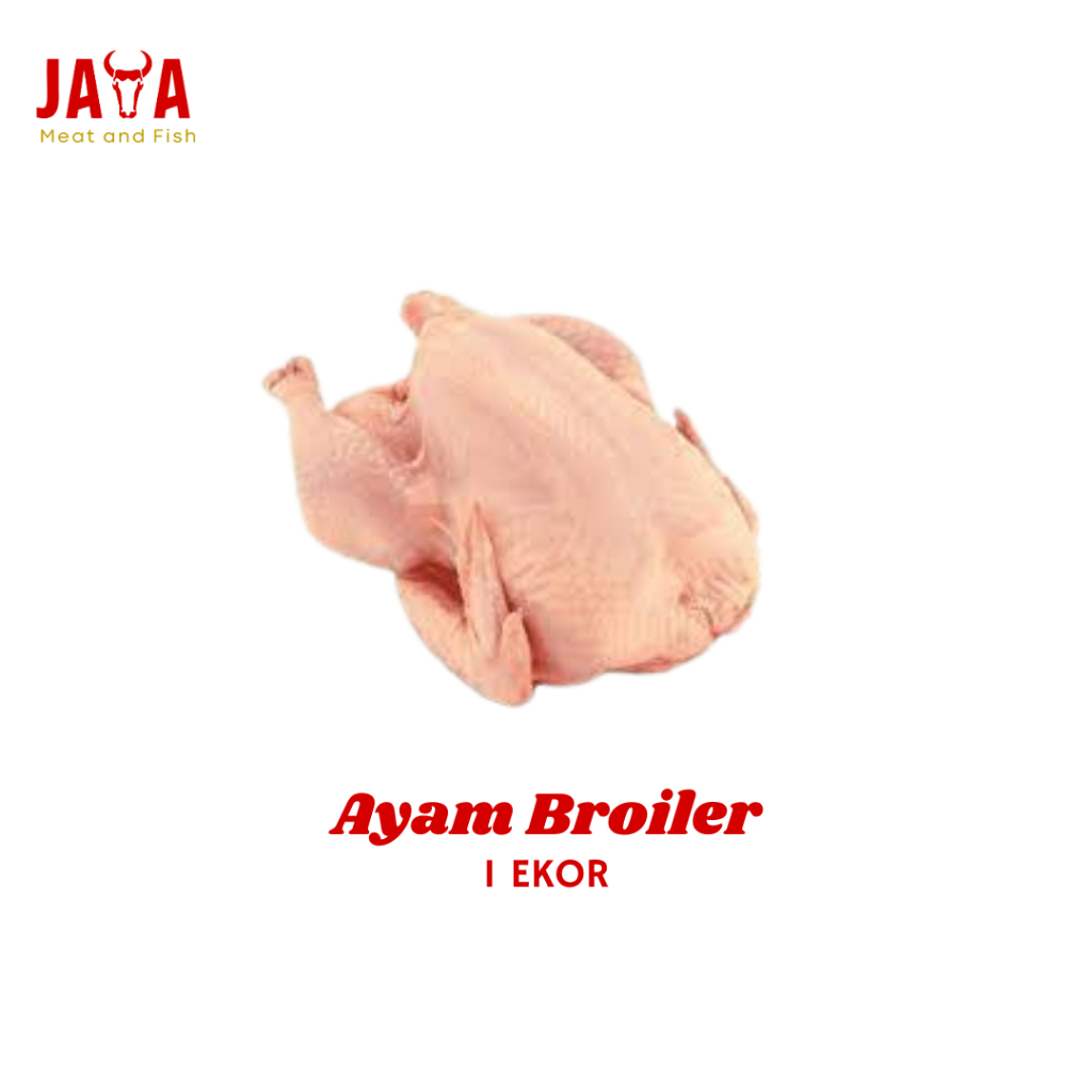 

AYAM BROILER UTUH 1 EKOR | AYAM BROILER 1 EKOR