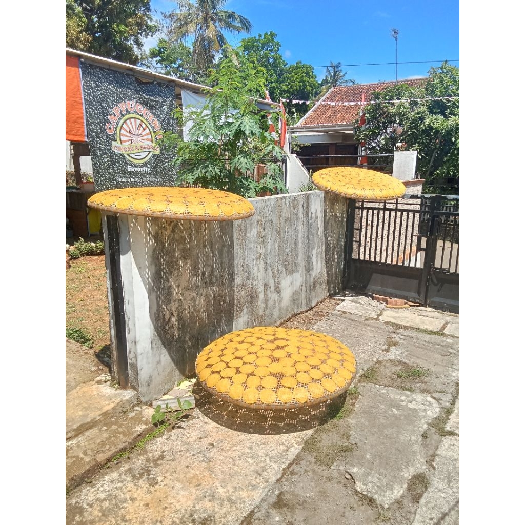 

OPAK Singkong Alias Kicimpring