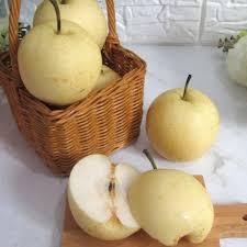 

LOLA Pir Century Premium Pear 900 - 1000 gr