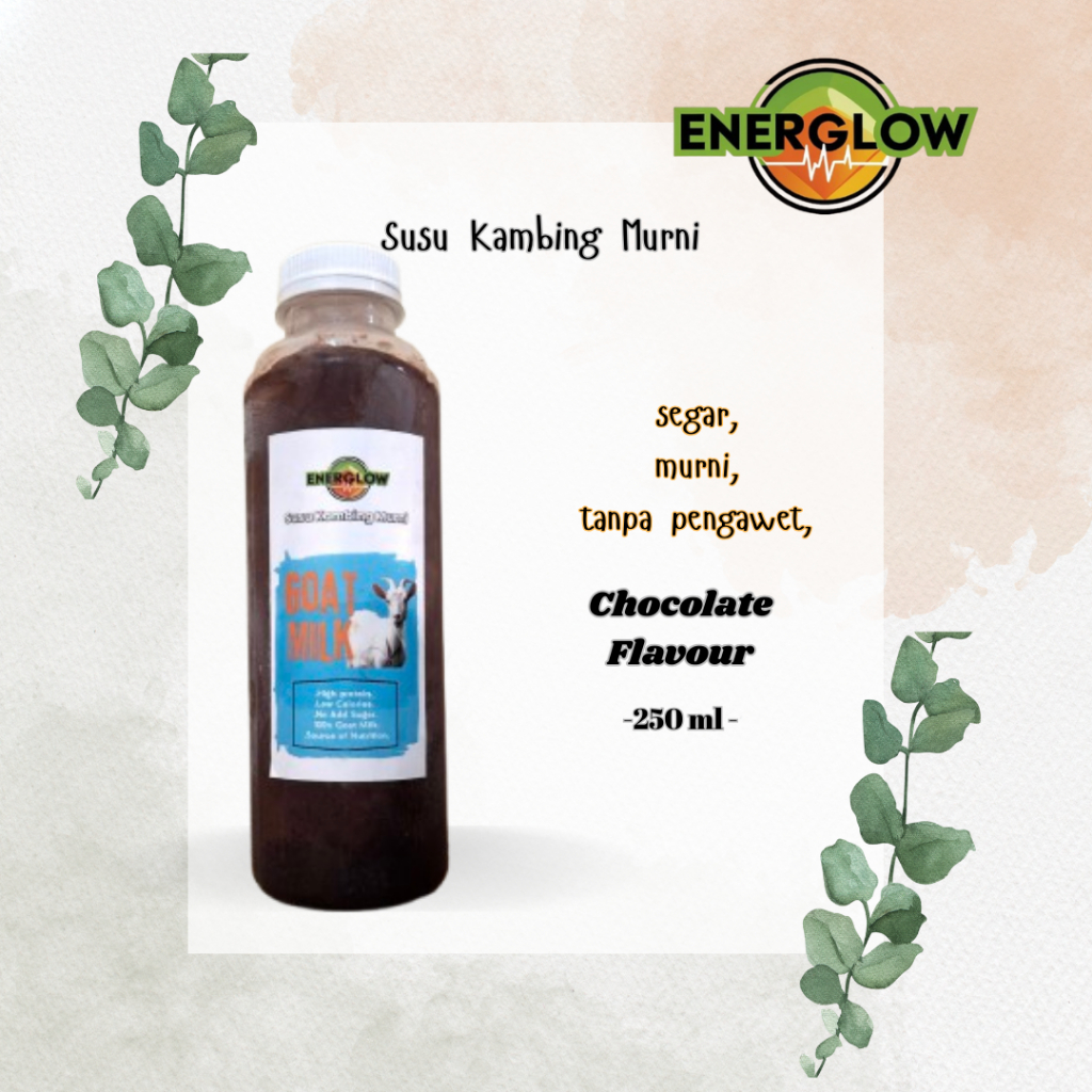

susu kambing murni rasa coklat kemasan 250ml