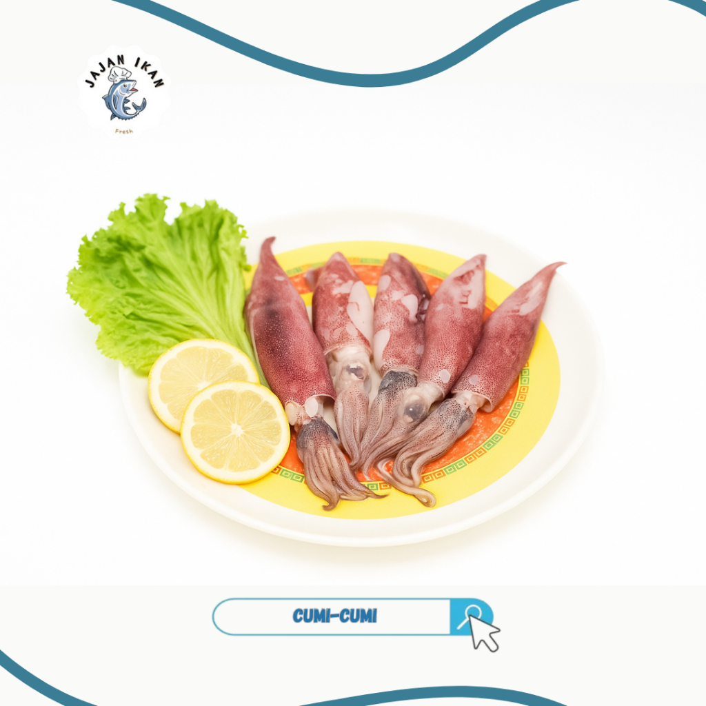 

Ready Cumi [JAJAN IKAN] Cumi-cumi Segar 500 gram - 1 KG