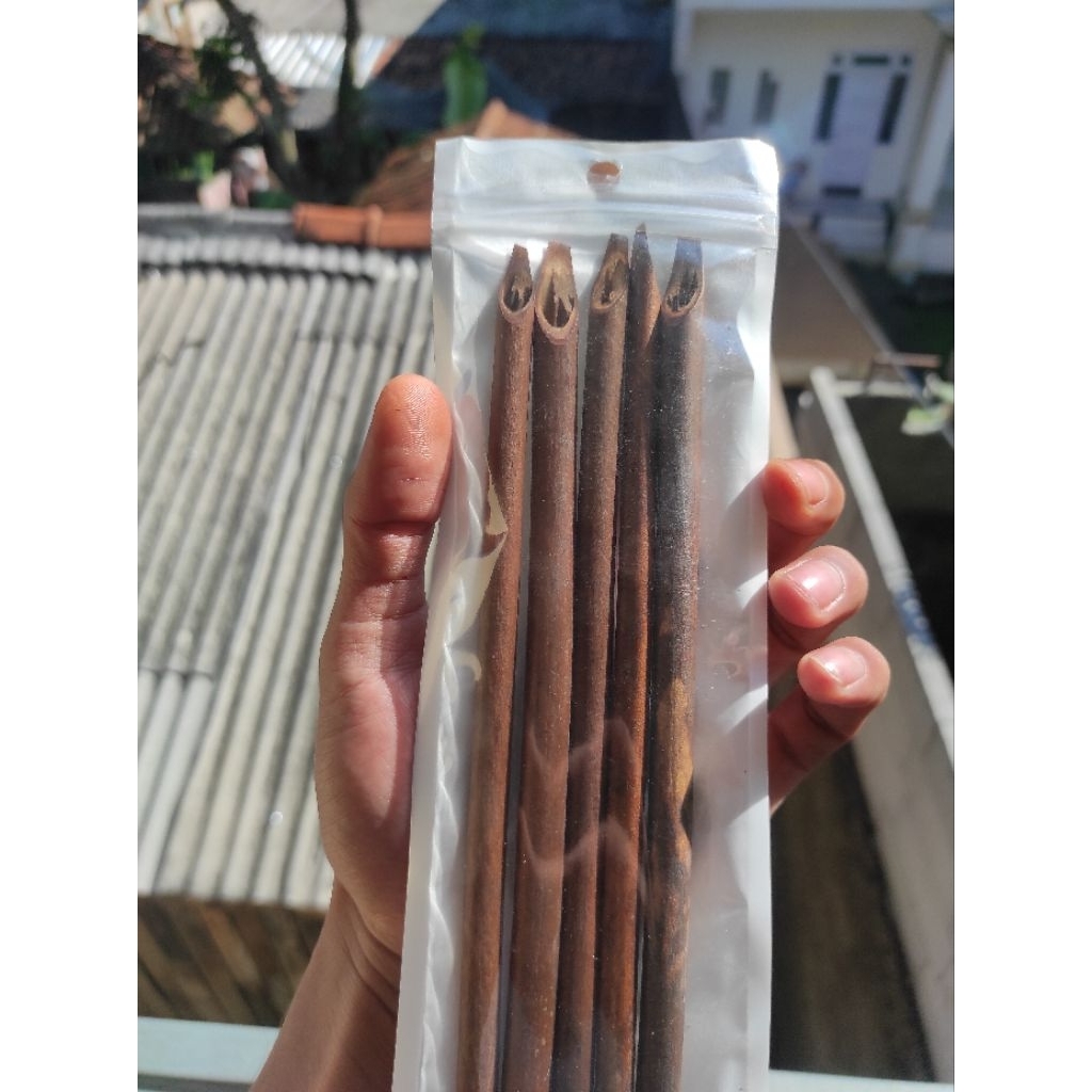 

25 Cm handam kaligrafi sudah di raut pakis Alat Tulis kaligrafi harga murah