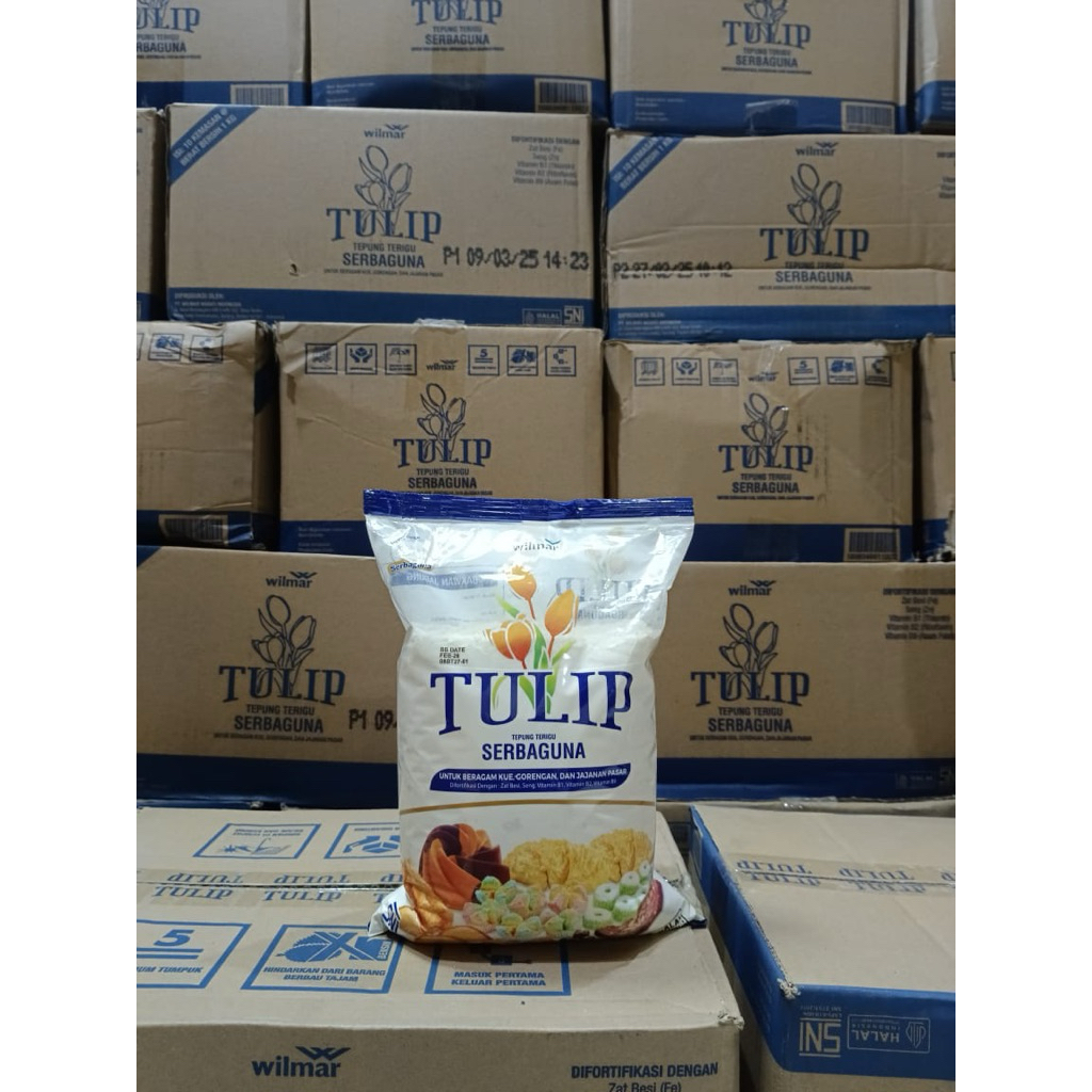 

TepungTeriguTulip