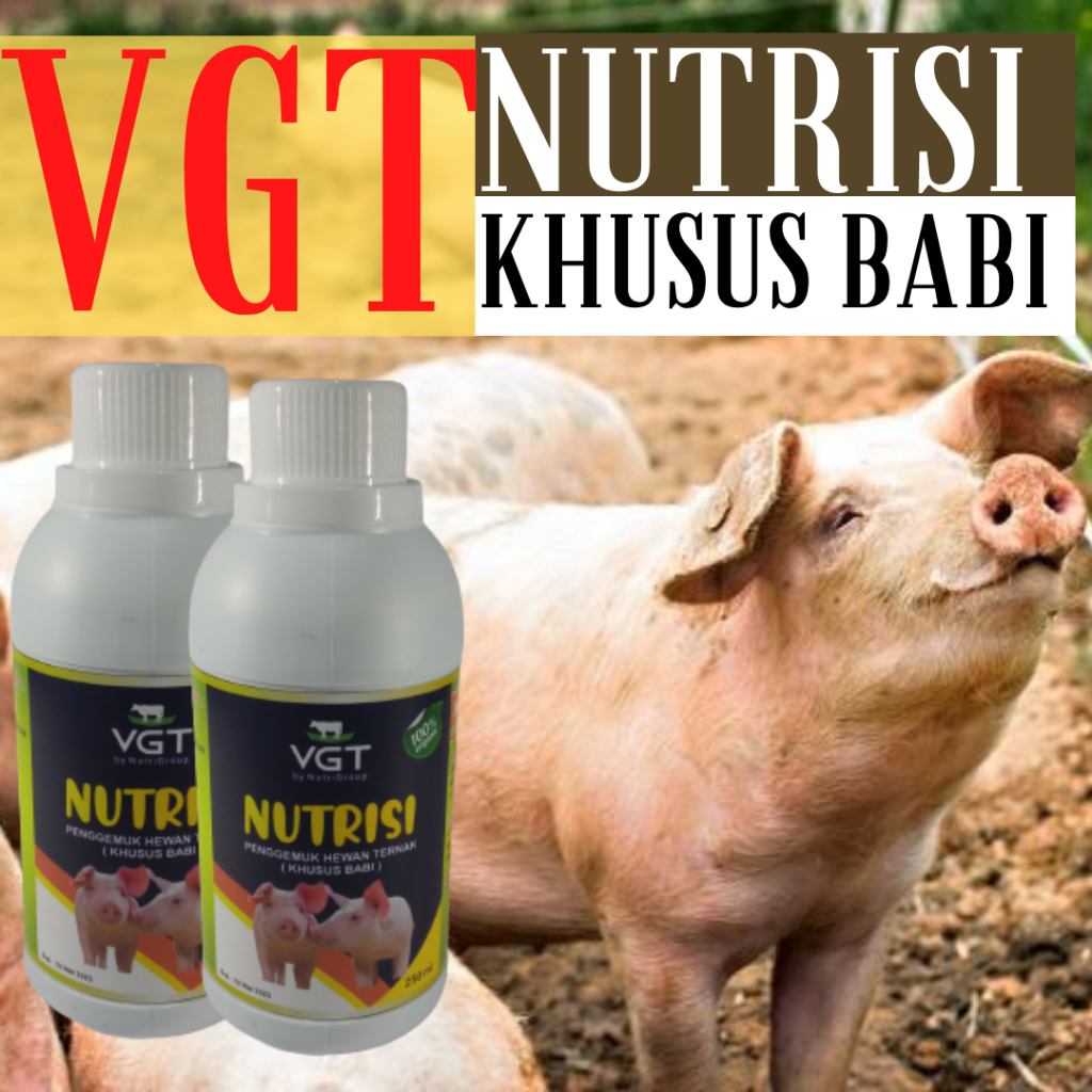VGT BABI Penggemuk Hewan Ternak Khusus Babi Nutrisi 250 ML