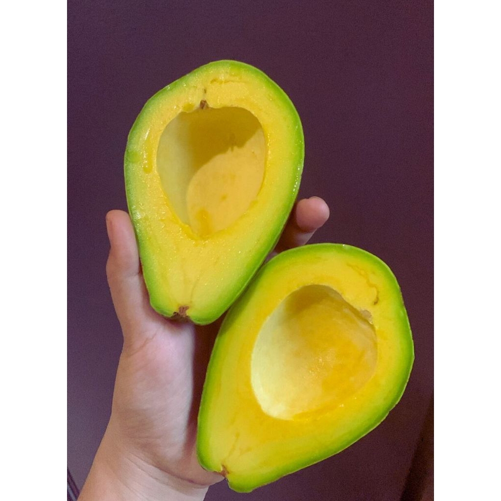 

alpukat mentega #alpukatmentega #alpukatpremium #alpukatlampungtimur #alpukatrekomendasi