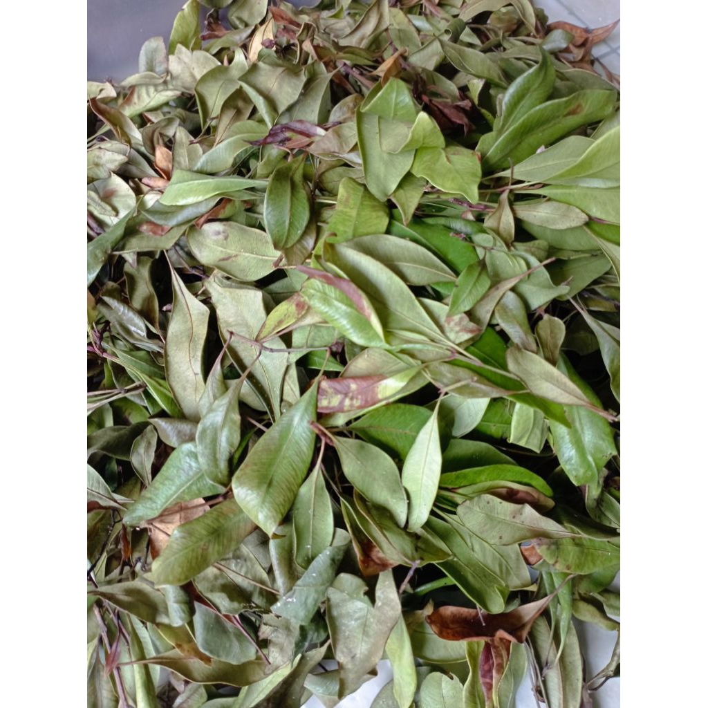 

daun cengkeh kering 100g