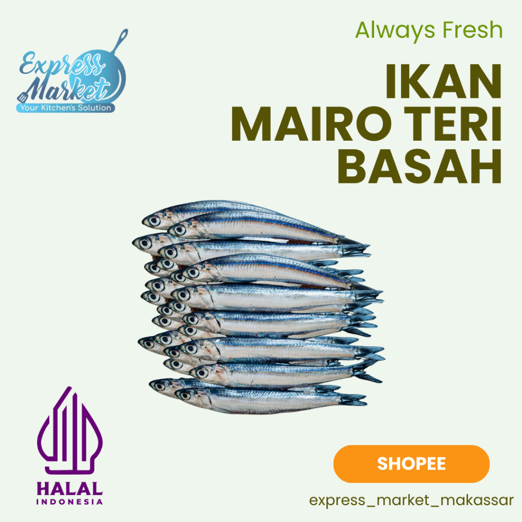 

Ikan Lure Mairo Teri Basah Halal