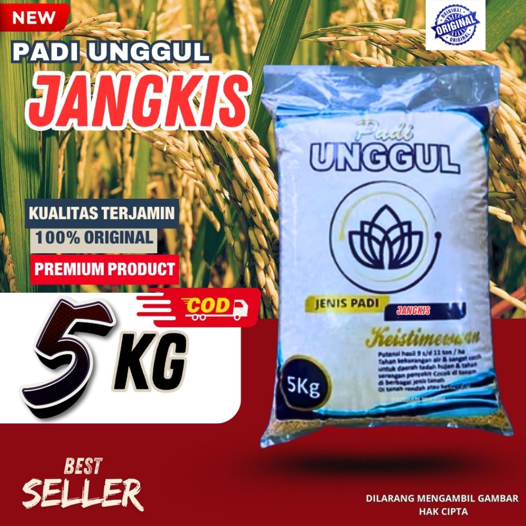 benih padi unggul cibatu putih original benih padi unggul cibatu kemasan 5kg