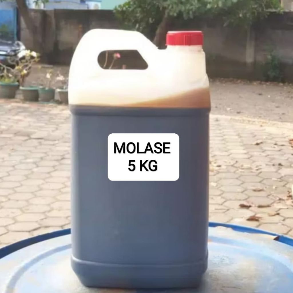 molase tetes tebu 5 kg