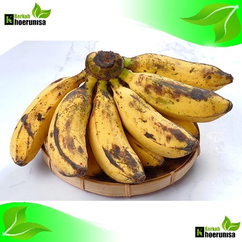 

Pisang Raja Bulu 1 Sisir 1 kg Siap Matang