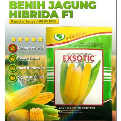 

PROMO MURAH  Benih Jagung Manis Hibrida Exsotic F1 Isi 1750 Butir ORIGINAL Kemasan pabrik