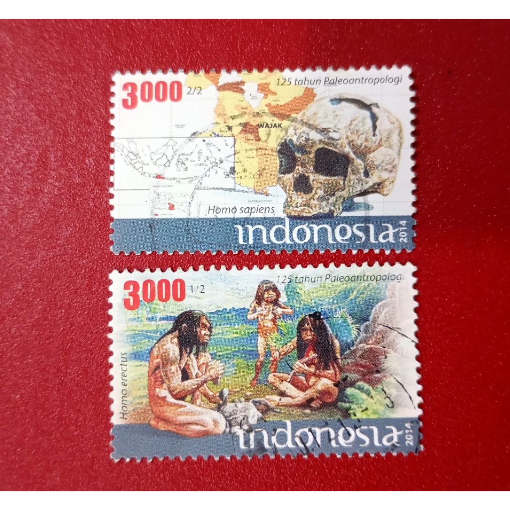 

PRANGKO INDONESIA 125 TAHUN PALEOANTROPOLOGI