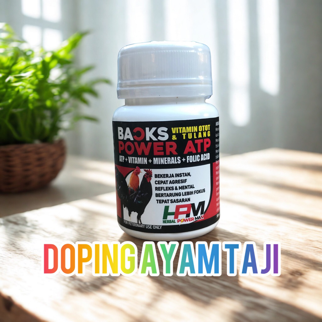Back power doping ayam isi 30 caps ayam taji tajen ayam pisau philipin peru birma bangkok kualitas p