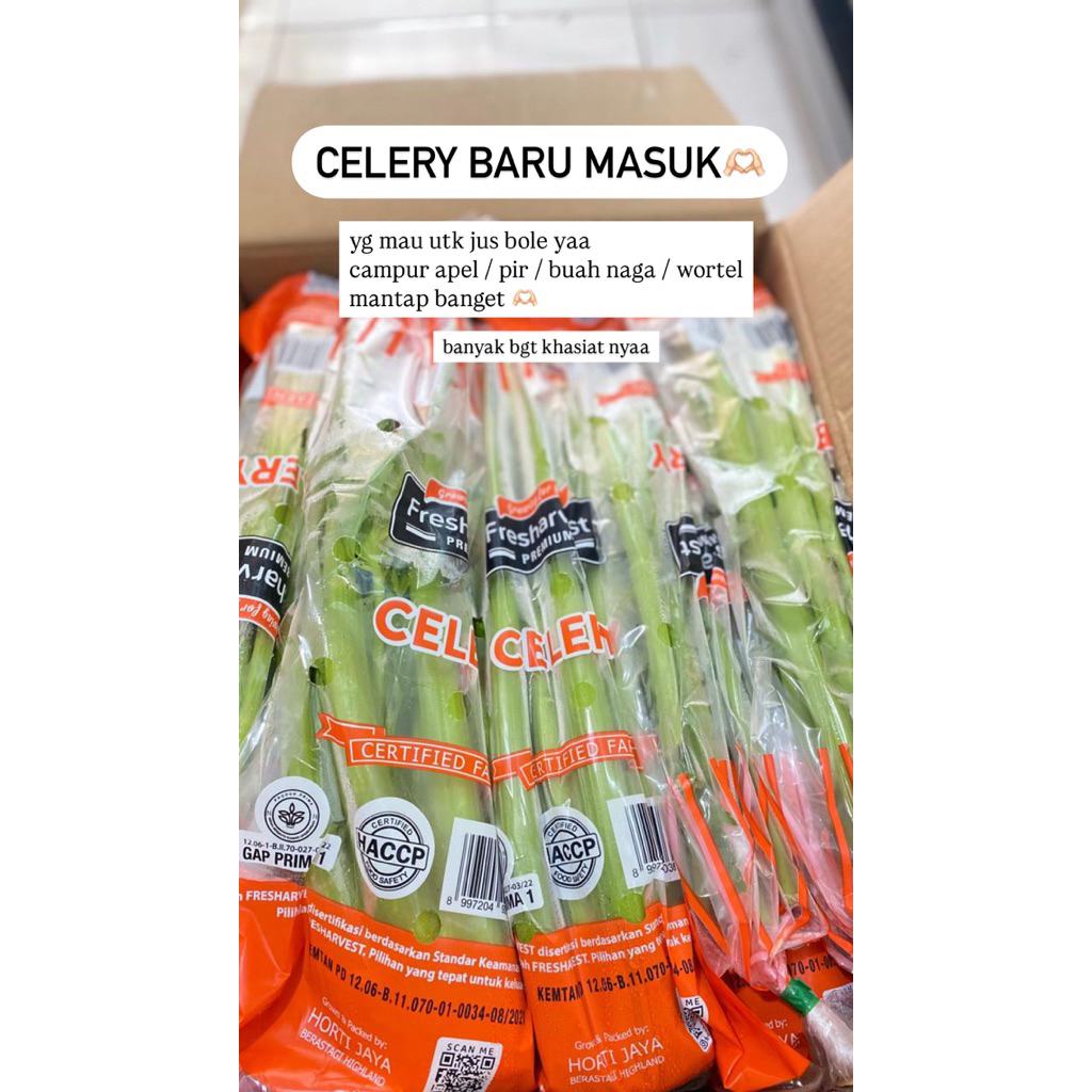 

celery seledri untuk jus 1 pack
