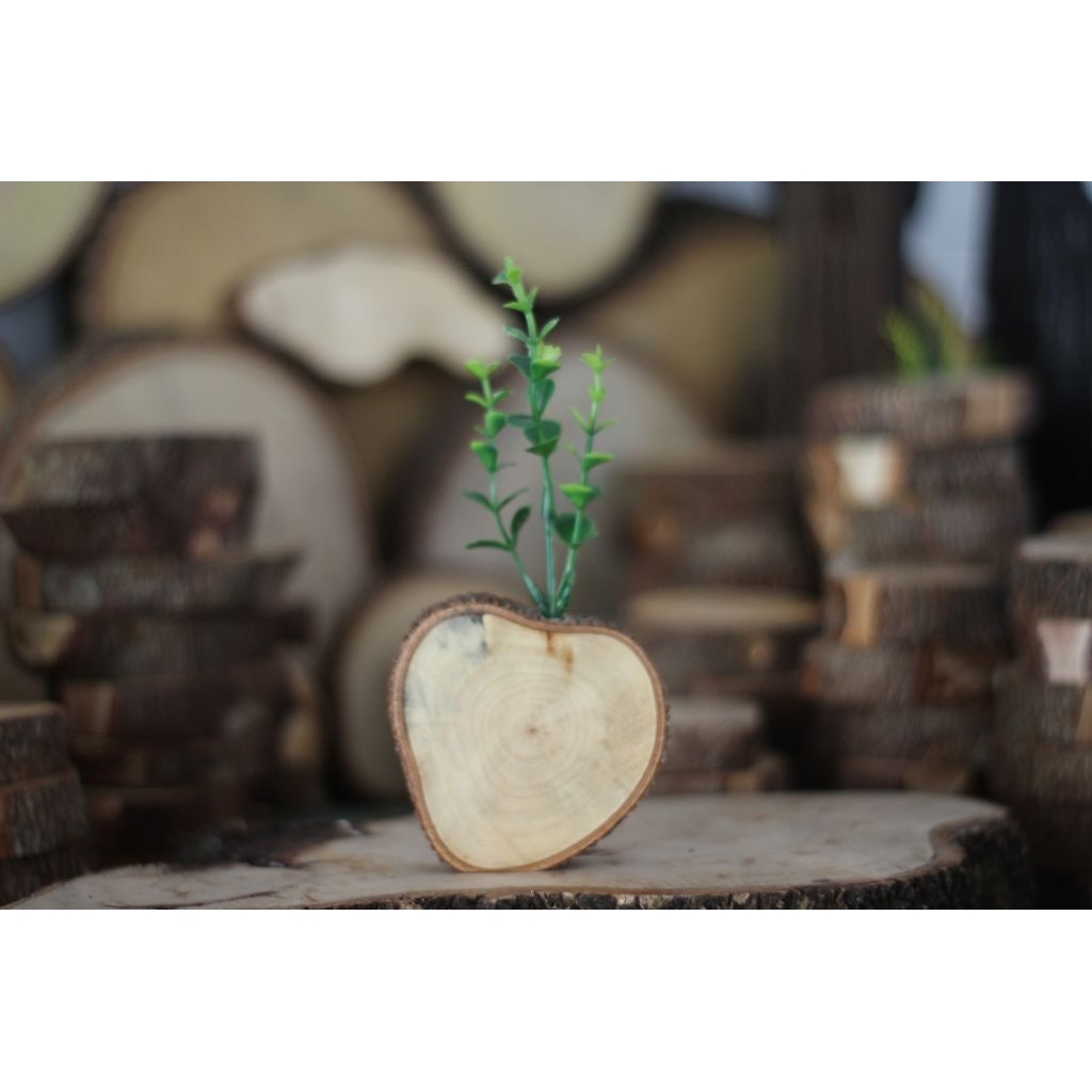 vas pot bunga mini dari kayu asli pajangan ruangan hiasan rumah