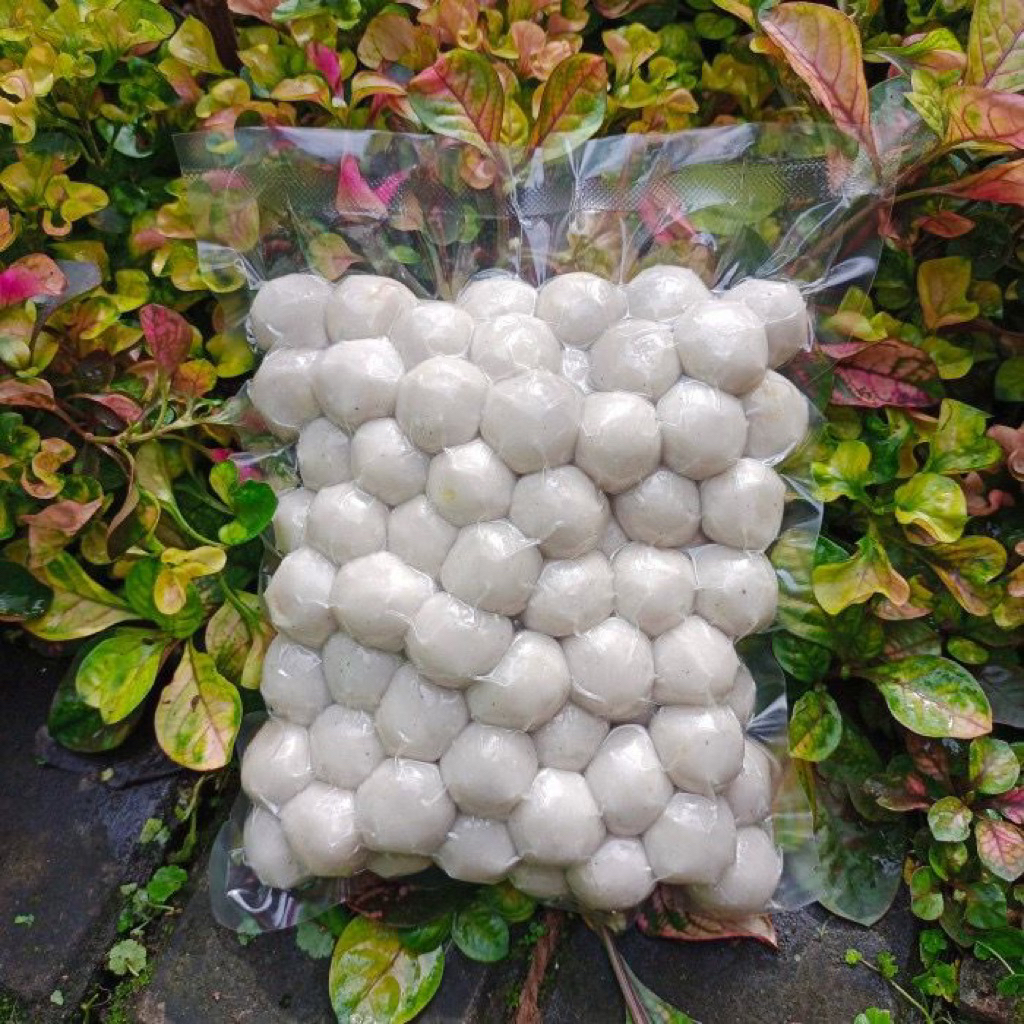 

BASO ACI ISI DAGING AYAM KEMASAN VACUM 1kg