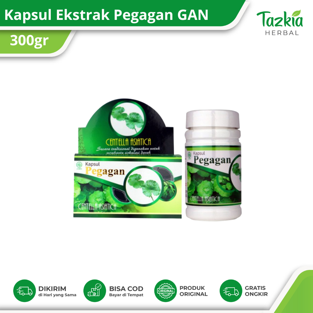 Kapsul Ekstrak Pegagan 100% Asli Menutrisi dan Menjaga Kesehatan Otak GAN