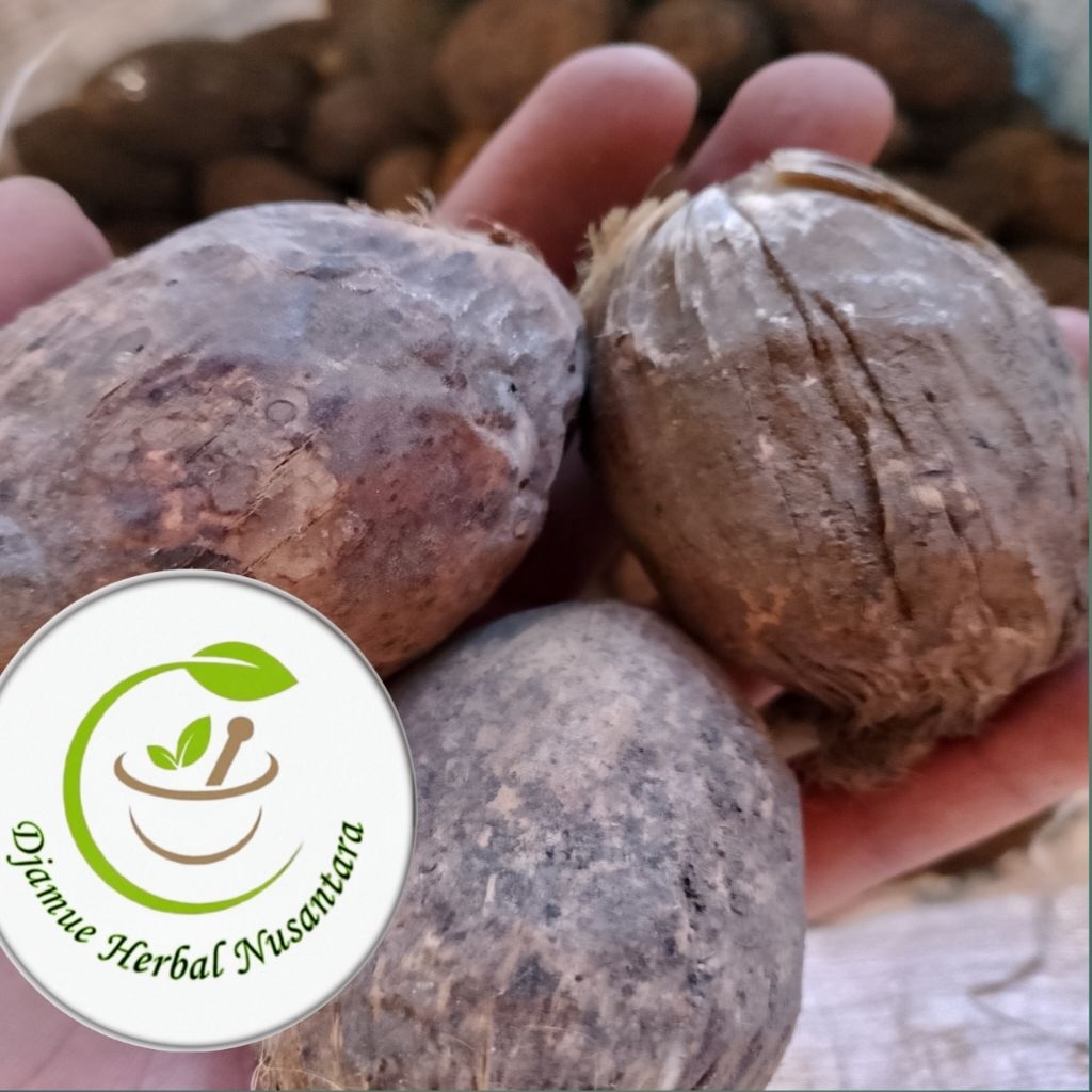 

buah pinang kering utuh 1kg kualitas premium original