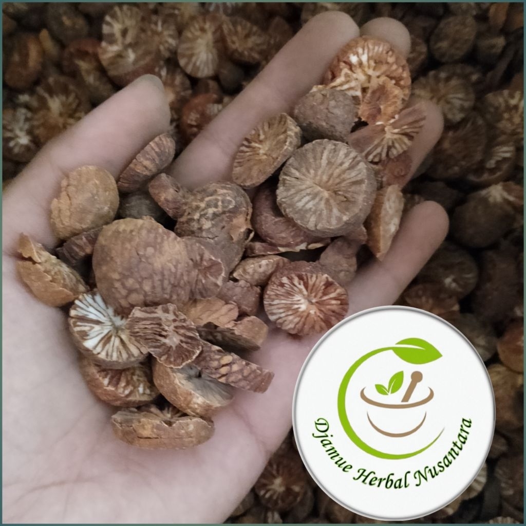 

buah pinang kering 1 kg kualitas premium original