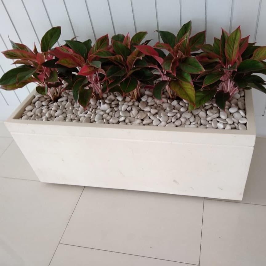 Pot Teraso Kotak Panjang Putih Teraso Natural by Majestic Terazzo