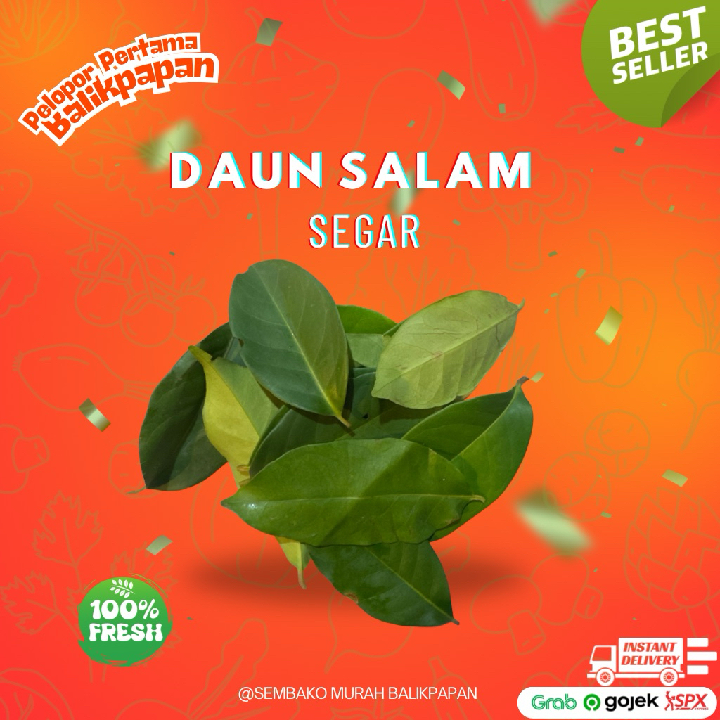 

daun salam