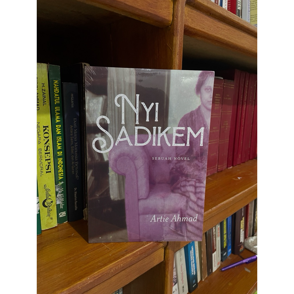 Nyi Sadikem (Sebuah Novel)