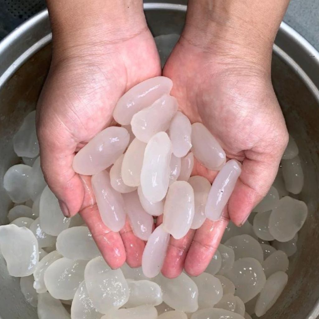 

Biji Aren Kolang Kaling Caruluk Berat 500g dan 1 kg