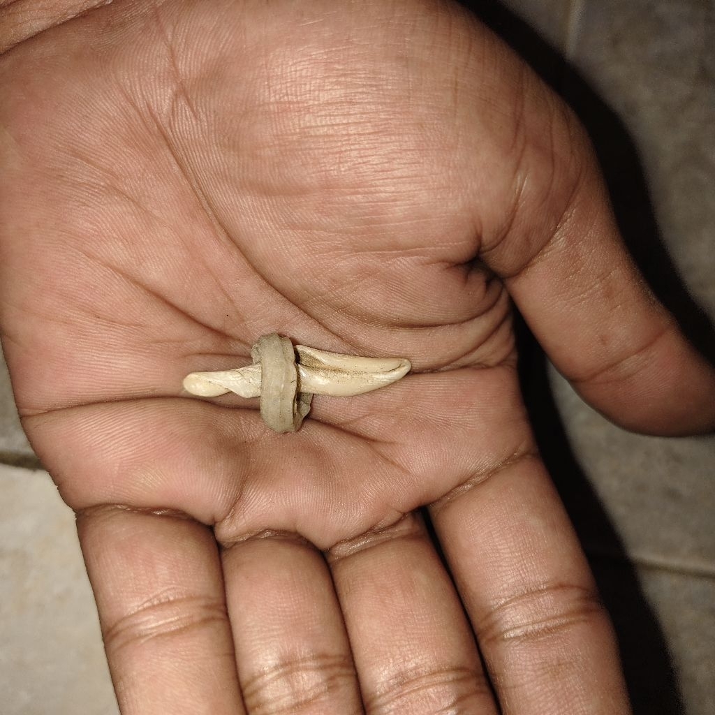 warisan mbah batu langka unikk kuno antik