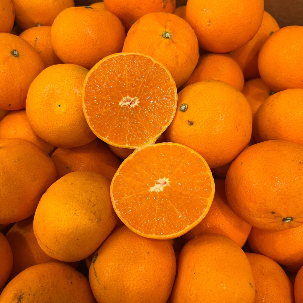 

JERUK MANDARIN AFRIKA MINI | Buah Jeruk Manis Enak