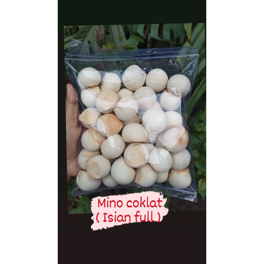 

Kue nopia mino/ndog bulus 500gram