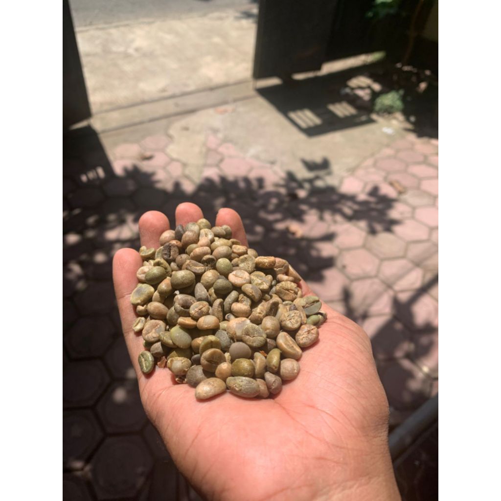 

Kopi jowo asli biji kopi mentah Robusta kualitas 1/4 kg, 1/2 kg, 1kg kopi jowo