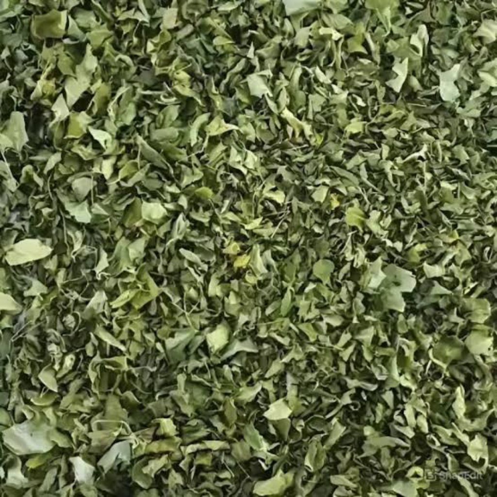 

DAUN KELOR KERING 500Gram
