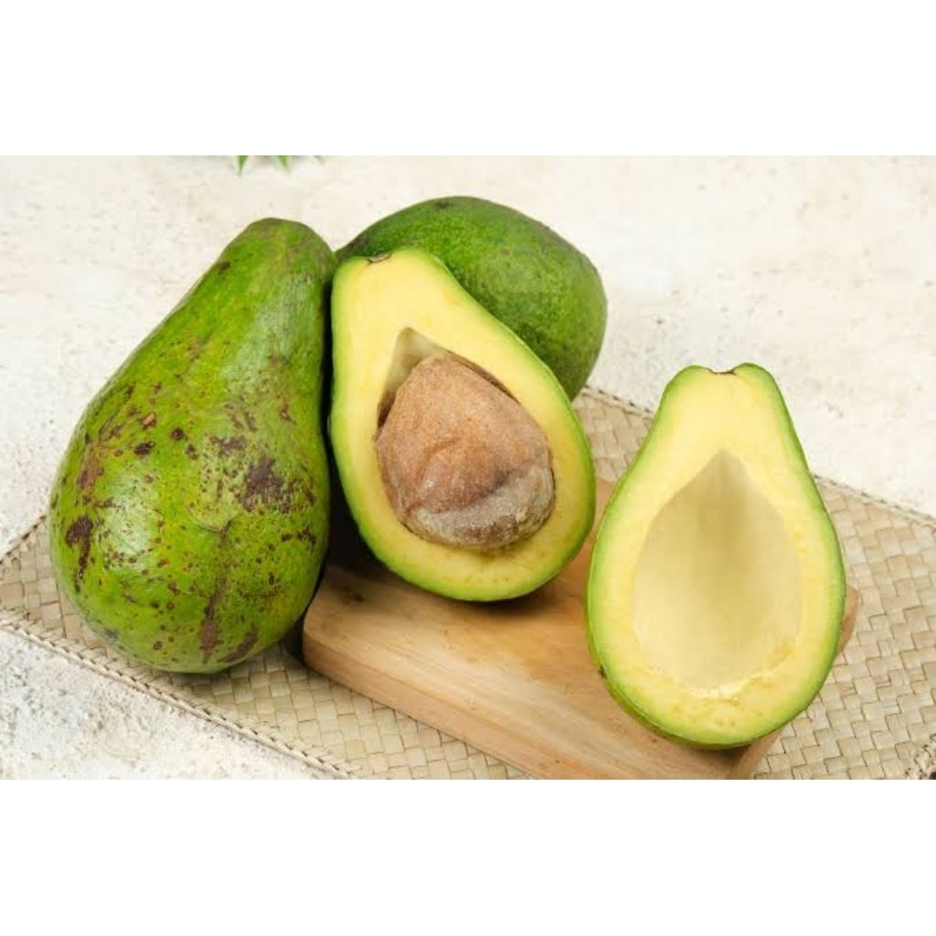 

Alpukat mentega legit dan pulen 1kg isi 5-6 buah ( 4-6 hari matang )