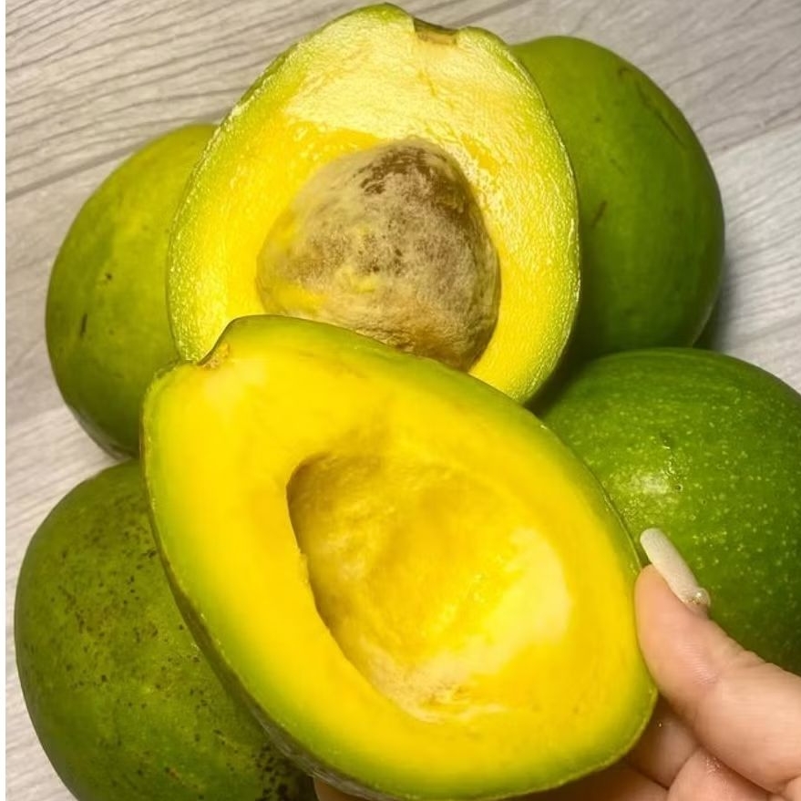 

ALPUKAT MENTEGA MIKI CIPEDAK 1kg