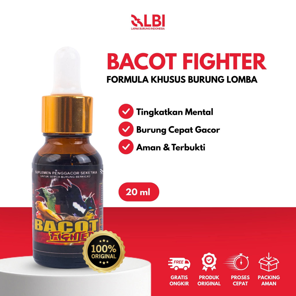 LBI - Bacot Fighter Vitamin Penggacor