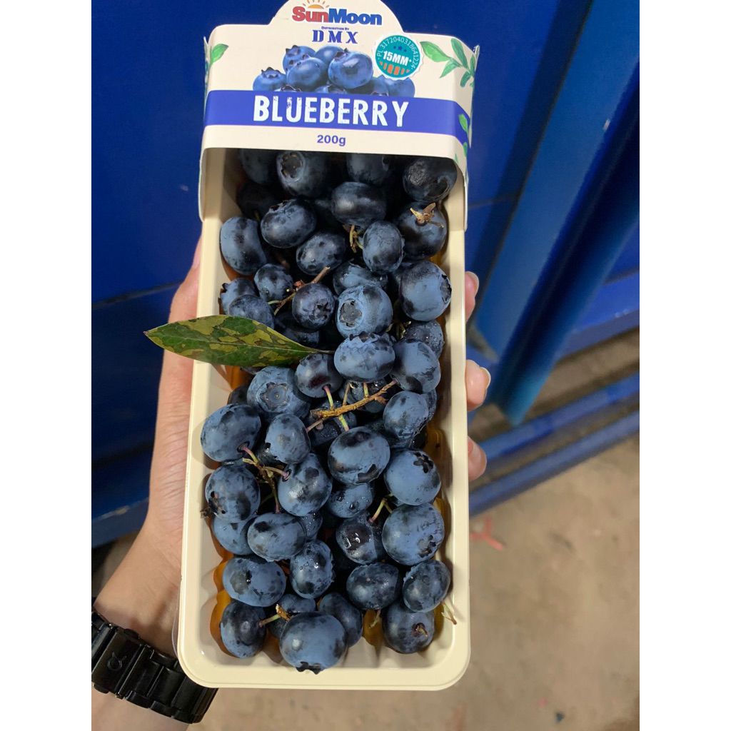 

bluberry besar 200gr