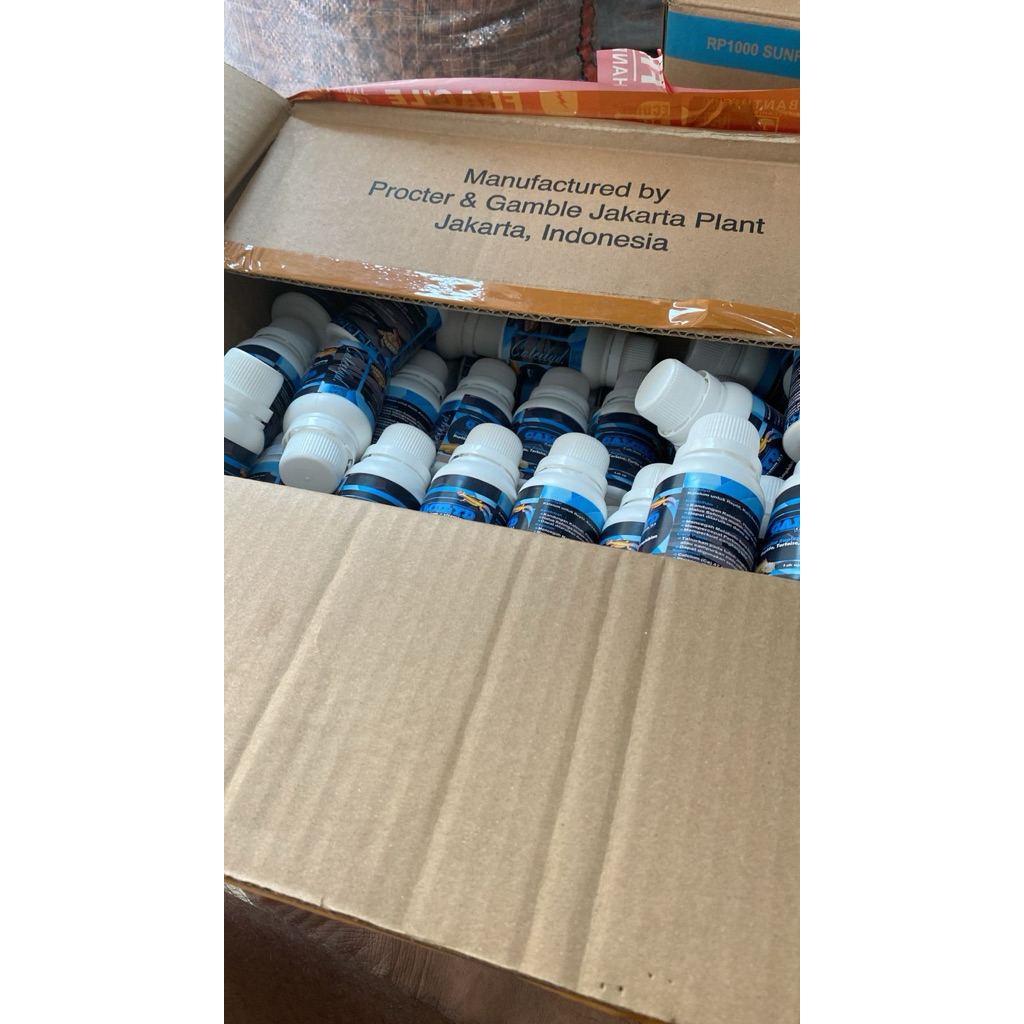 Kalsium untuk leopard gecko