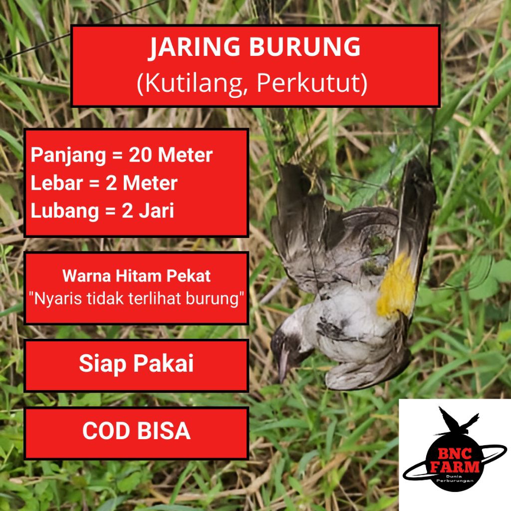 JARING KUTILANG PIKAT JEBAKAN BURUNG SIAP PAKAI