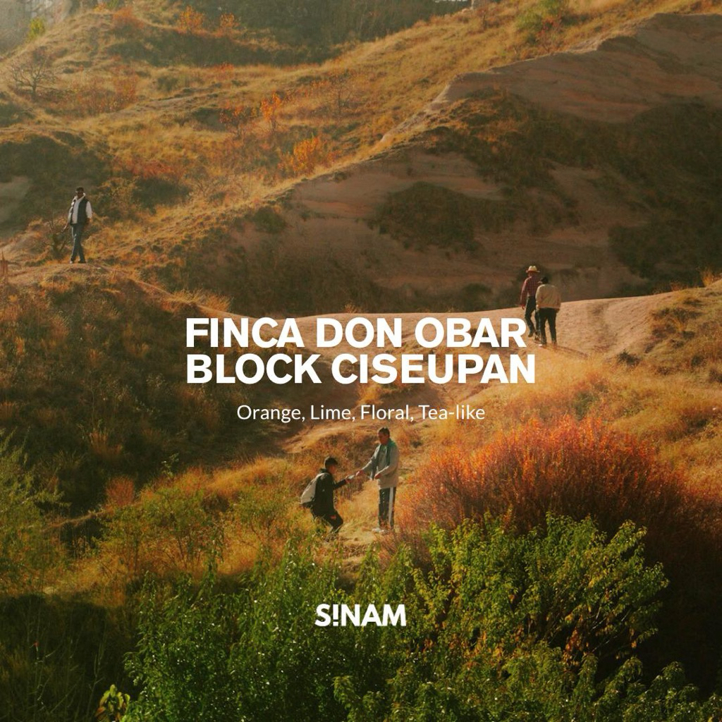 

Finca Don Obar HSN (Filter Coffee Roast)