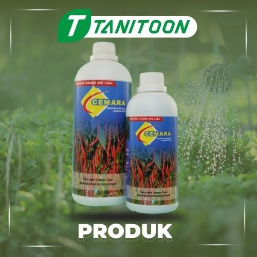 CEMARA CABE PUPUK : NITRIGEN 20%+PO 10%+KO 10%+ZPT 10MG%