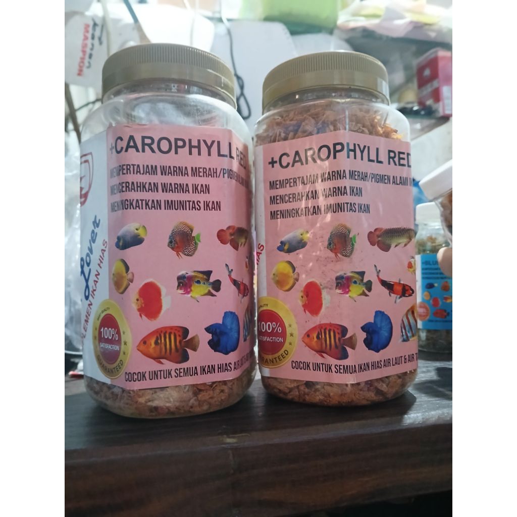 

Udang Karofil Carophyll Red Blue Yellow Shrimp